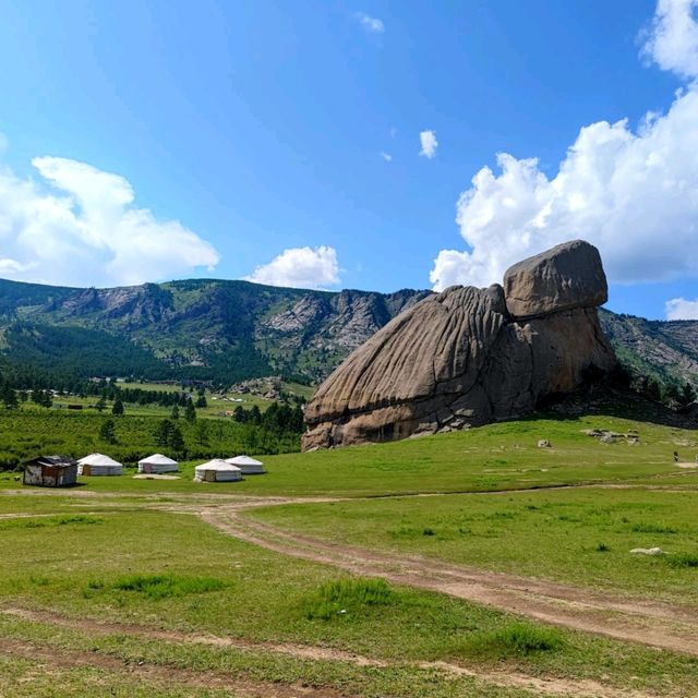 Majestic sentinel of Mongolian landscape! 😍