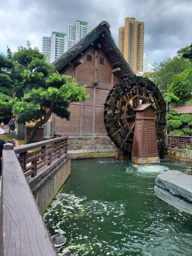 香港打卡好去處 @ 南蓮園池