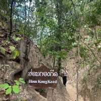 🌿⛰️เดินชมความสวยงามของธรรมชาติที่ผาช่อ🌴🌿