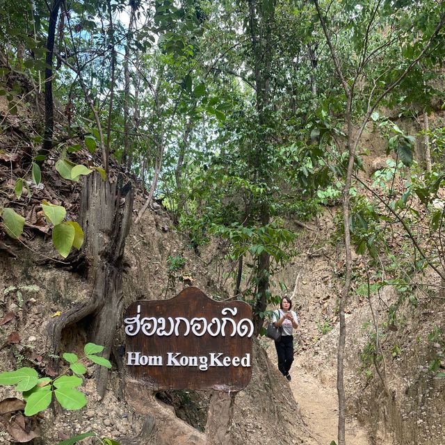 🌿⛰️เดินชมความสวยงามของธรรมชาติที่ผาช่อ🌴🌿