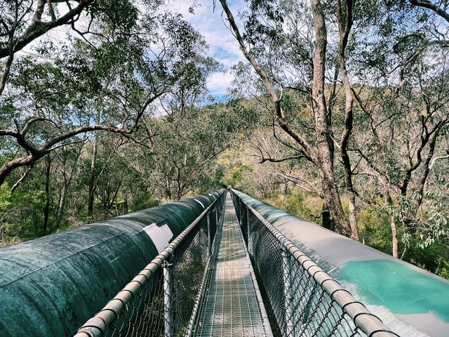 Serpentine Falls! 😎 Keep Running!💕🫣😁