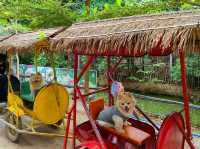 Café and Farm วิวดี ติดธรรมชาติ 