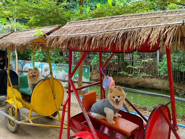 Café and Farm วิวดี ติดธรรมชาติ 