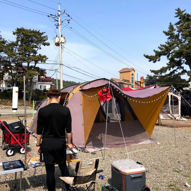 바다 바로앞 캠핑장 어은돌송림캠핑장