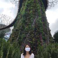 [Explore Singapore] Gardens of Your Dreams