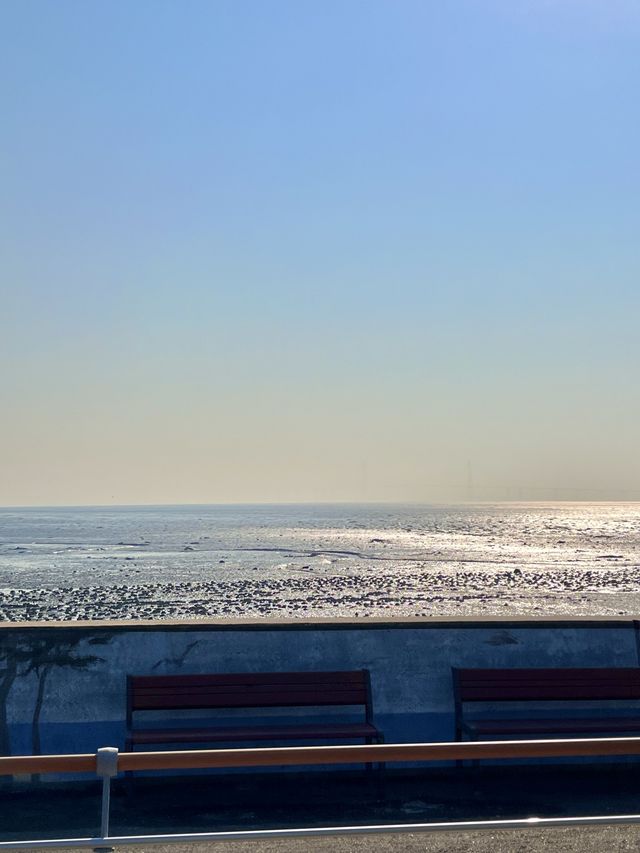 서해바다 보면서 페달 밟기! 영종도씨사이드 레일바이크🚲