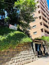 【東京都/上目黒氷川神社】首都高の目線にある神社