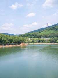 산책하기좋은 마장호수 출렁다리