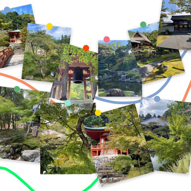  🎌禪意浸潤的日式寺院🎌 醍醐寺🎌