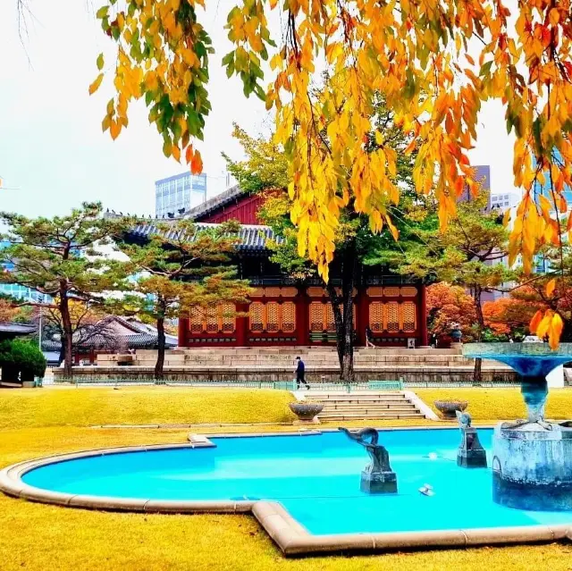 Beautiful Autumn View of Changdeokgung 
