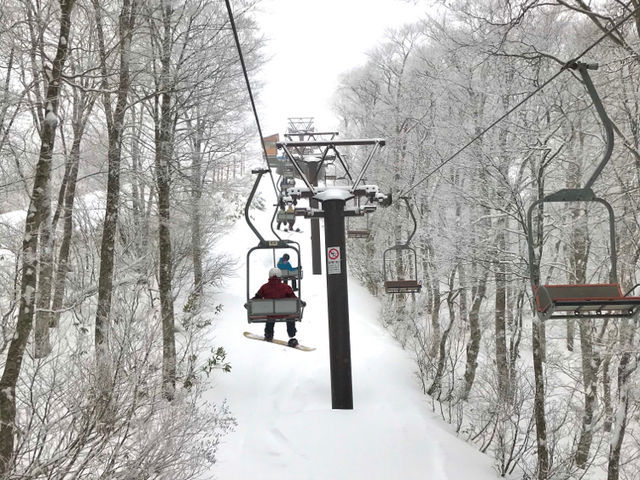 ❄️日本山形縣藏王山三種體驗：溫泉♨️滑雪⛷️樹冰❄️