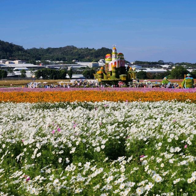 Sea of Flowers Xinshe