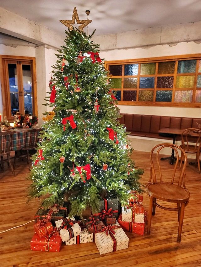 실내트리도 따뜻한 감성 한가득인 거제도 카페🎄✨️