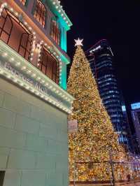 명동 대형 크리스마스 트리🎄