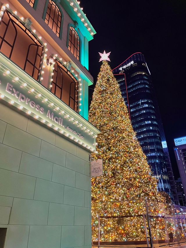 명동 대형 크리스마스 트리🎄