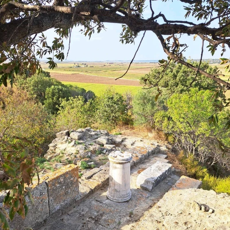 Turkey🇹🇷｜The Troy archaeological site worth visiting