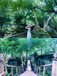 【絶景】まるでラピュタの世界！神秘的で美しいベンメリア遺跡🇰🇭