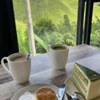 BOH Tea Centre Sungai Palas, Cameron Highland