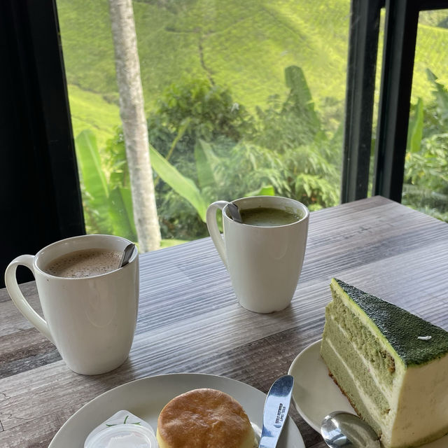 BOH Tea Centre Sungai Palas, Cameron Highland