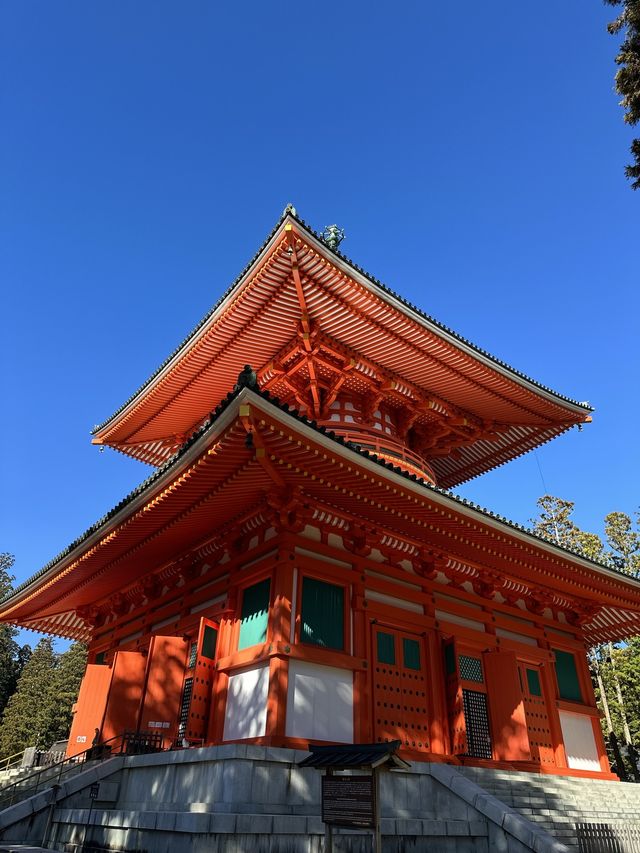 高野山：霊と自然の調和 🏞️🏯