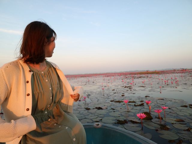 Red Lotus Lake in Thailand