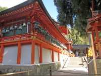 ดูใบไม้เปลี่ยนสีที่ศาลเจ้าตะเกียง Kasuga Taisha