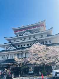 熱海でお花見するならここ！熱海の絶景を一望できる熱海城！