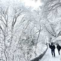 겨울왕국 시라카와고❄️