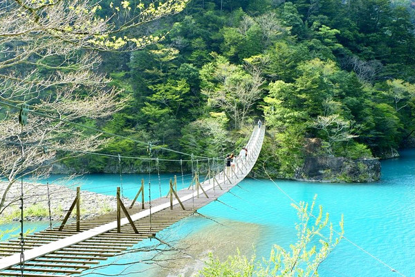 送料無料 ギフト dreams of bridge The | Kawanehon Trip.com アート・デザイン・音楽