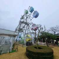 Amanohashidate Viewland ดินแดนสวรรค์