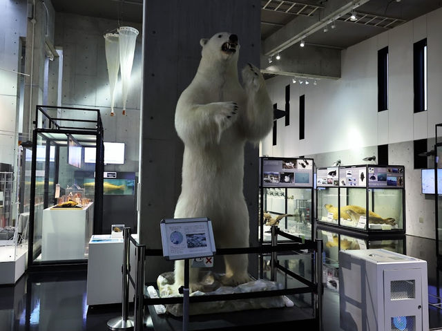 Polar Science Museum 