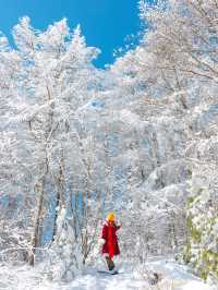 겨을 눈꽃여행하면 빼놓을 수 없는 만항재🗻
