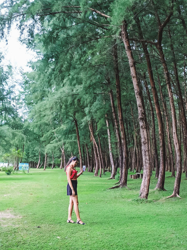 เดินเล่นริมหาด ชมทิวสน ที่หาดบางเบน