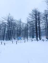 해발 1330m 한국에서 차로 올라갈수 있는 가장 높은 곳🩵