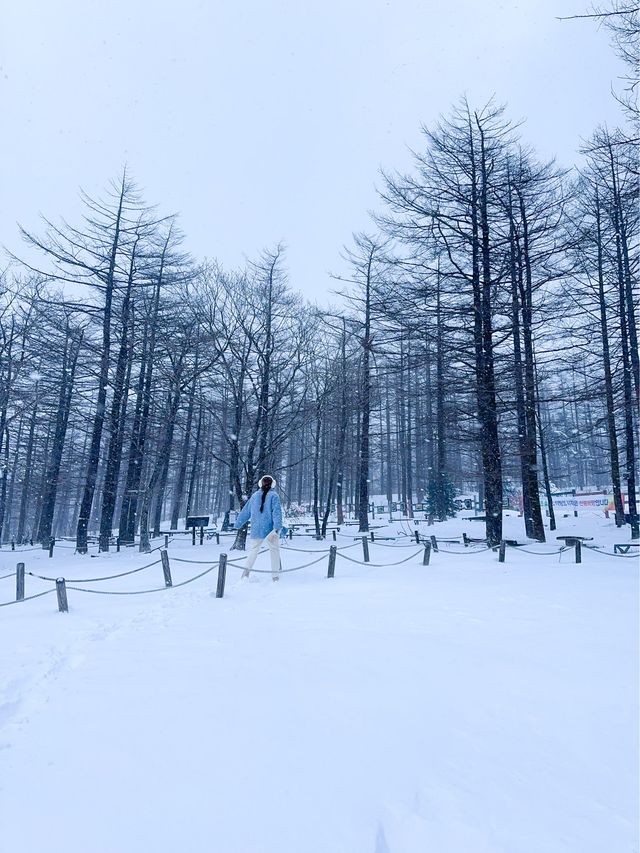 해발 1330m 한국에서 차로 올라갈수 있는 가장 높은 곳🩵