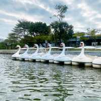 นั่งปิกนิก ปั่นเรือเป็ด ที่สวนหลวงร.9