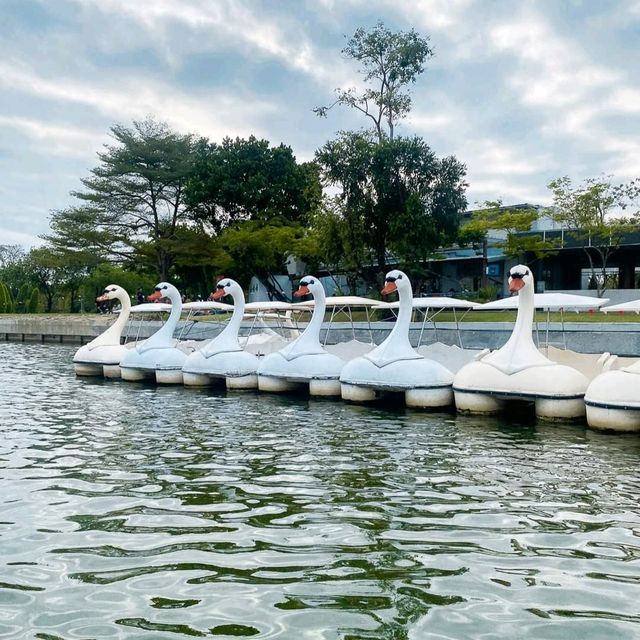 นั่งปิกนิก ปั่นเรือเป็ด ที่สวนหลวงร.9