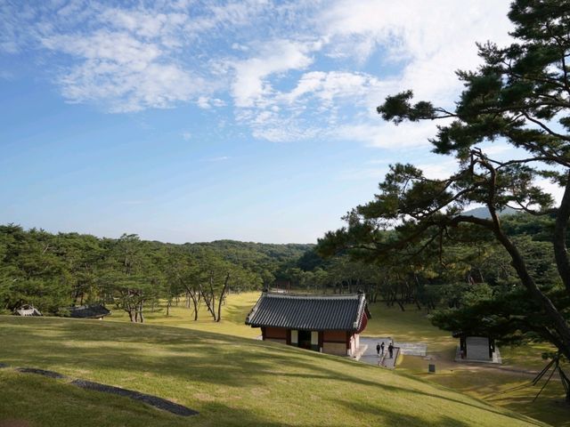 모시는 왕을 꼭 닮은 땅, 세종대왕릉!