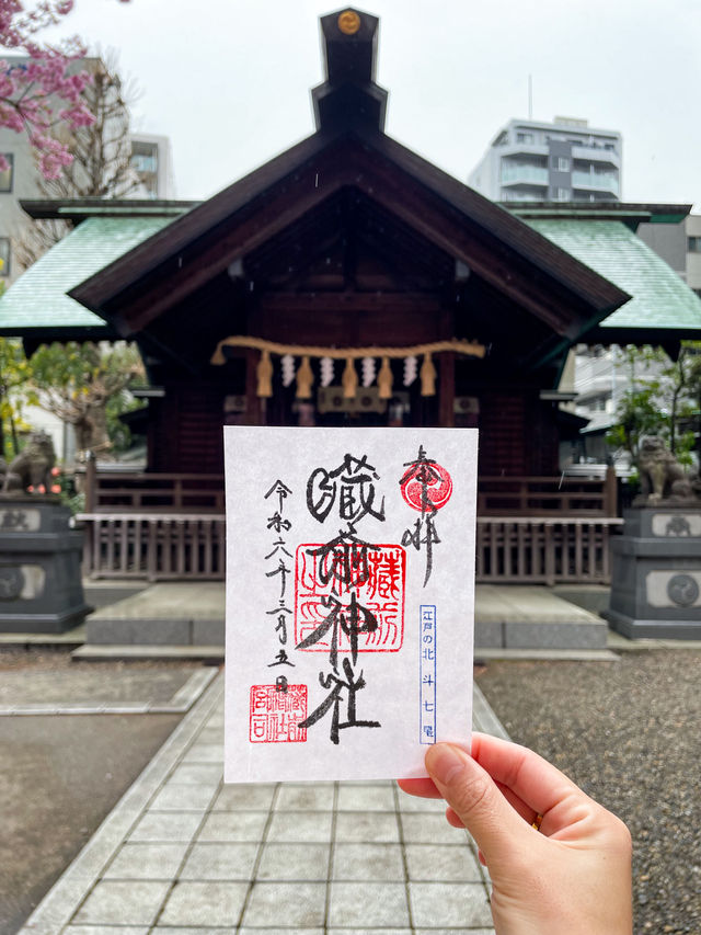 【東京】蔵前神社の早咲き桜とミモザの絶景コラボ