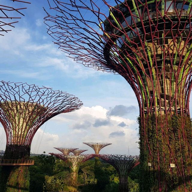 Gardens by the Bay