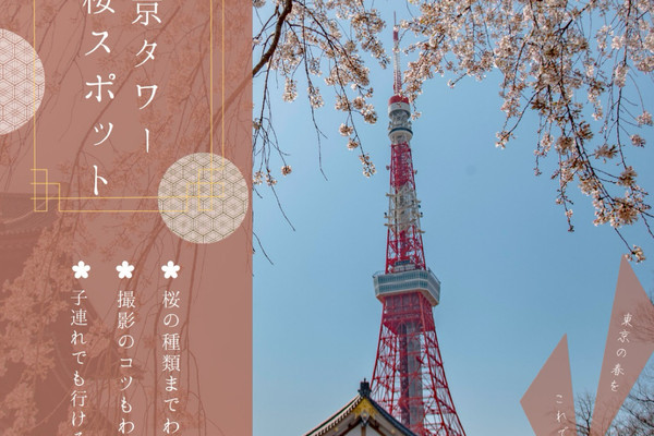 おすすめ！東京タワー桜スポット🗼🌸 | Trip.com 東京