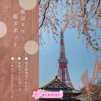おすすめ！東京タワー桜スポット🗼🌸