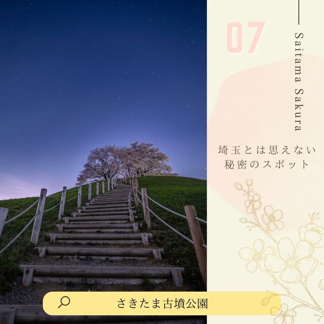 ドライブにおすすめ！埼玉桜散歩🚗🌸
