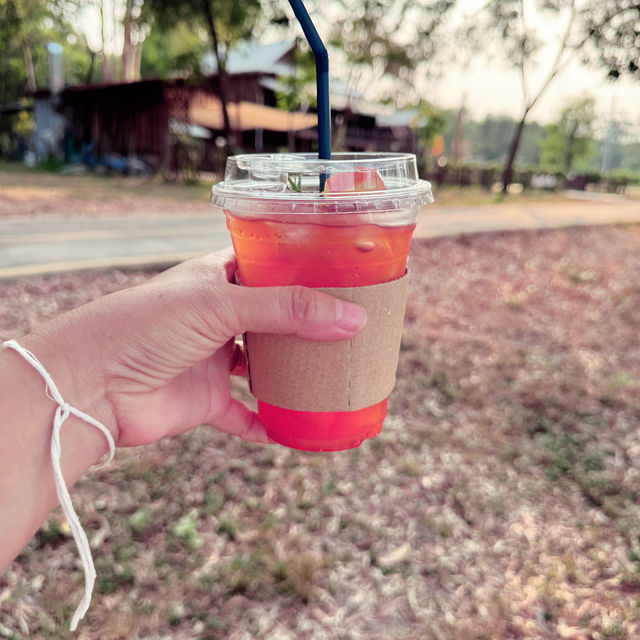 เฮือนกำนันคาเฟ่ @มหาวิทยาลัยอุบลราชธานี
