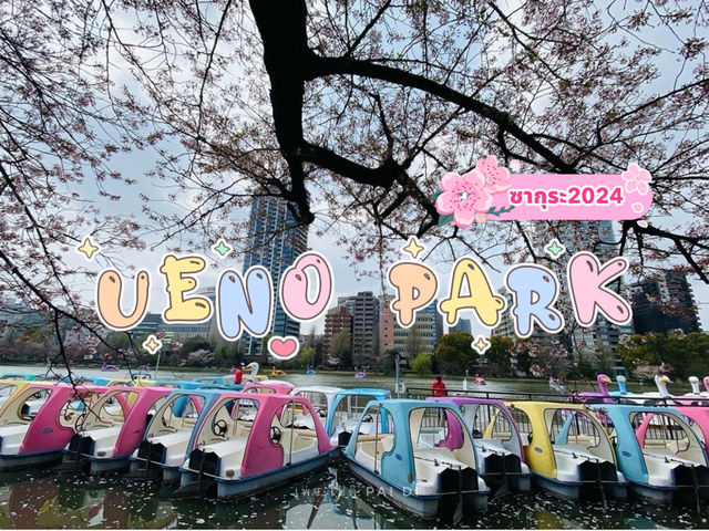 UENO PARK ในวันที่ซากุระบาน🌸