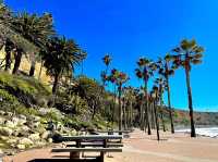 Royal Palms Beach Park