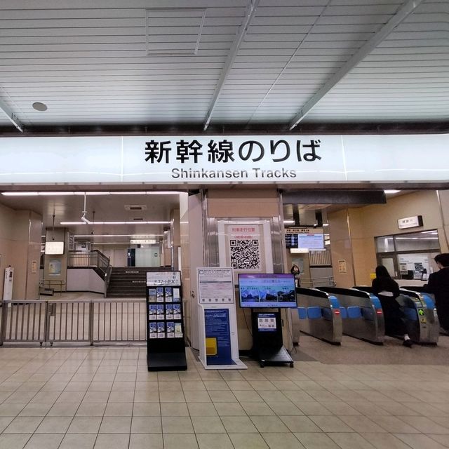 春の岐阜旅行🌸東海道新幹線『岐阜羽島駅』
