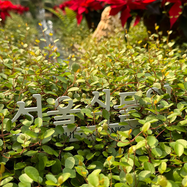 추운 겨울 ‘서울식물원’ 데이트 어떠세요?