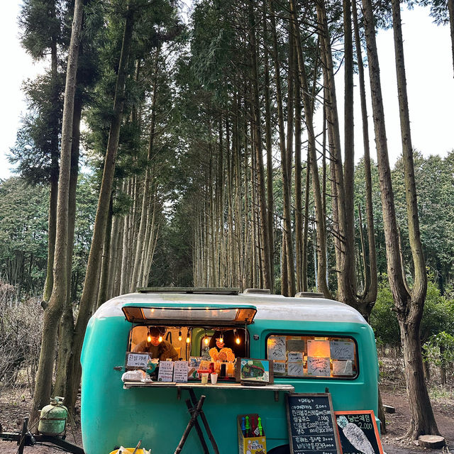제주 안의 유럽 안돌오름 비밀의숲🌳🌲