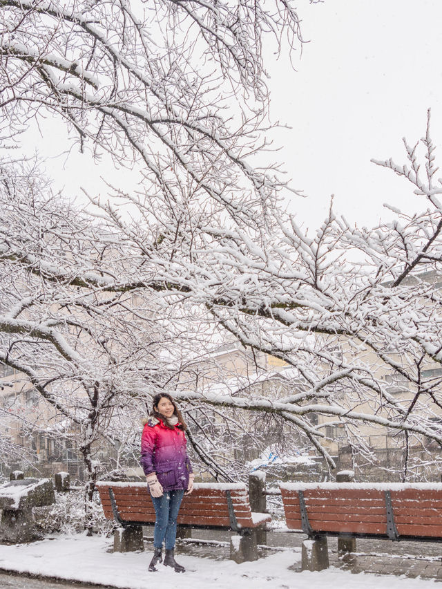 3月遊日遇上落雪！冰雪下的飛驒高山老街 